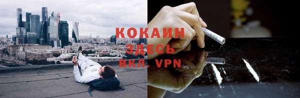 мяу мяу мука Армянск